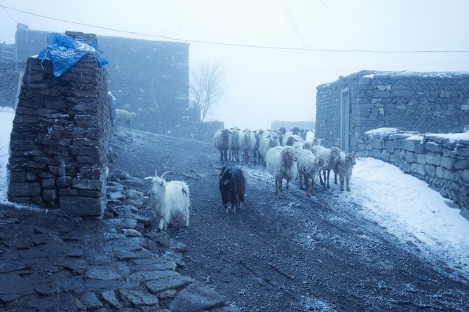 3-Day Hiking & Trekking Tour Remote Villages in Guba Azerbaijan - Day 1: Baku to Griz on the steep Eh Yolu