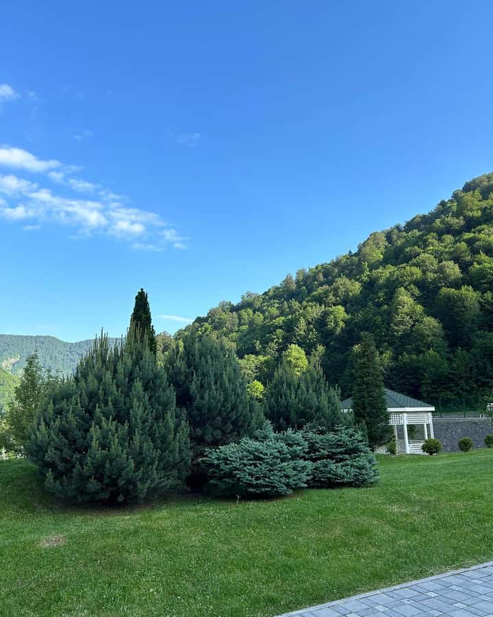 Baku-Gabala-Shamakhi-Tufandag -Nohur lake - Lavender fields - Nohur Lake: the day’s best pause