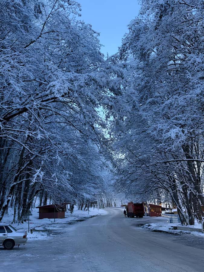 Baku: Guba, Candy Cane, and Shahdag Mountain Resort Trip - Why this northern Azerbaijan day trip works