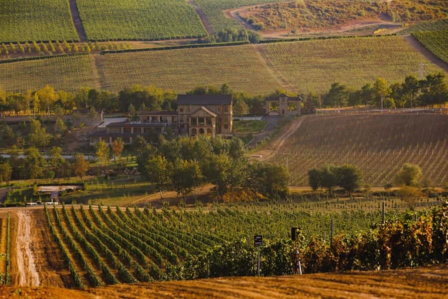 Baku: Organic Winery Tour in Shamakhi with Local Lunch - From Baku to Shamakhi by private car