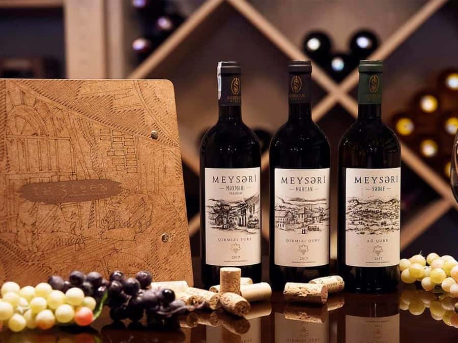Baku: Organic Winery Tour in Shamakhi with Local Lunch - Tasting Shirvan wines with cheese