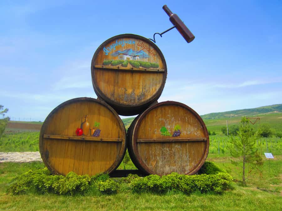 Baku: Organic Winery Tour in Shamakhi with Local Lunch - Is $318 per person a fair price?