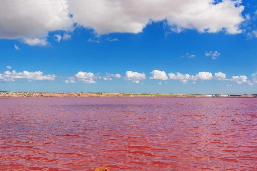Baku: Pink Lake, Candy Cane & Beshbarmag Mountains - Key details to know before booking