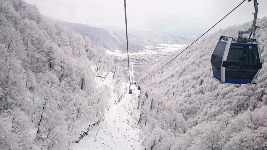From Baku: Gabala and Shamakhi Nature Tour - Practical tips for a smoother day