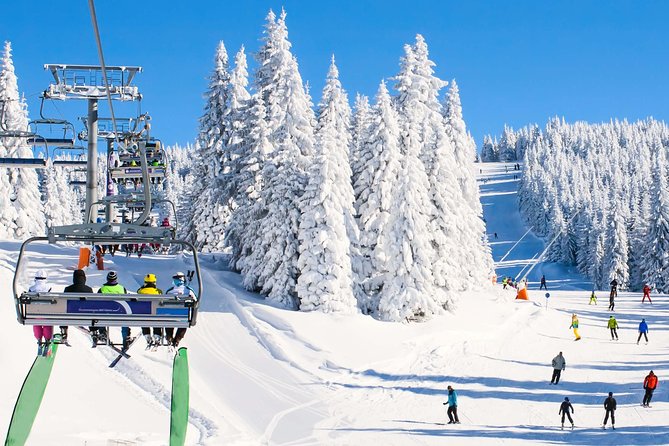 From Baku: Gabala Day Trip - The guide can shape the whole day