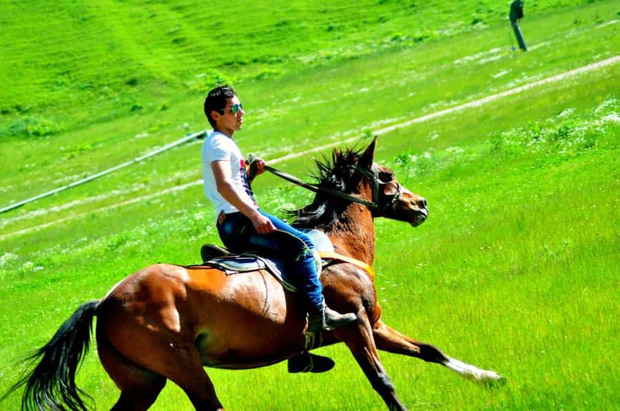 From Baku: Shahdag Mountain Resort Day Trip - Who will enjoy this day trip most