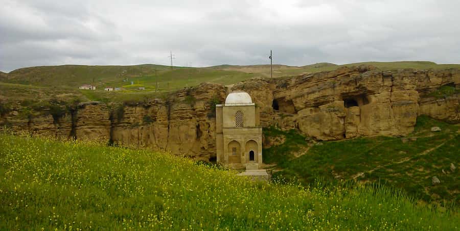 From Baku: Shamakhi City and Alpaca Farm Tour - Food, drinks, and the missing details