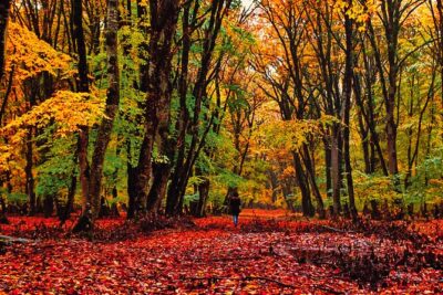 Gabala,Shamakhi, Caucasus mountains Day Trip Tour