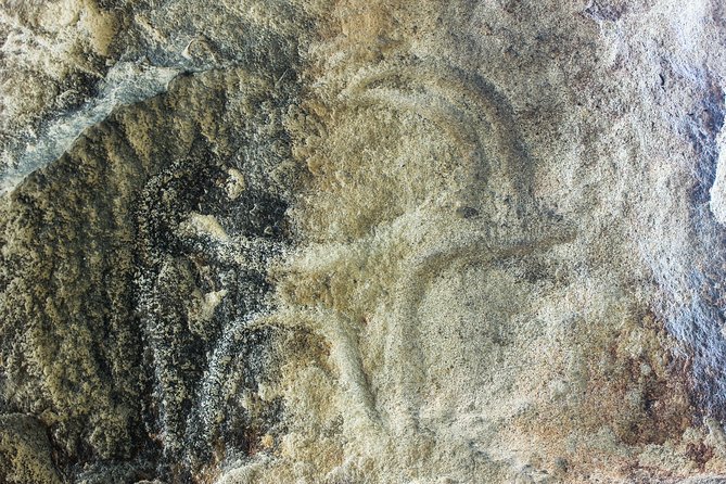 Gobustan and Mud volcanoes PRIVATE TOUR - What the carvings reveal about ancient life