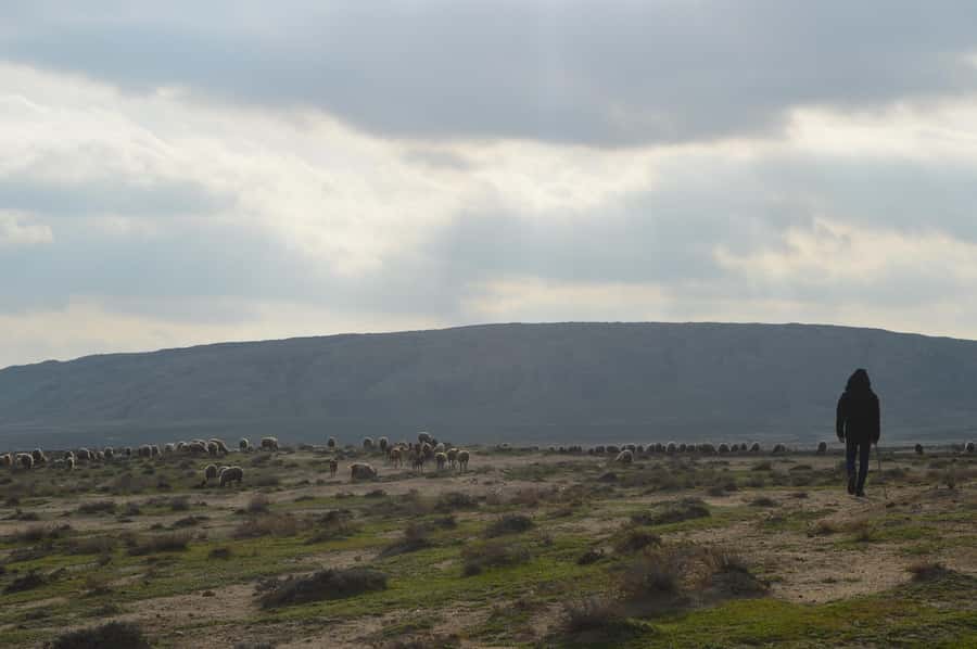 Gobustan, Mud Volcano, Burning Land and Fire Temple Tour - Mud volcanoes and the gray earth beside the Caspian
