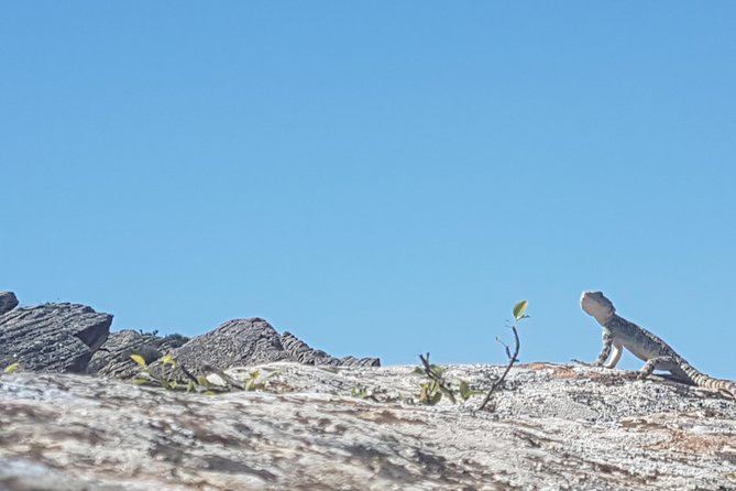 Gobustan Tour and Mad Volcanoes - tour to stone age - Start at the museum before walking among the rocks