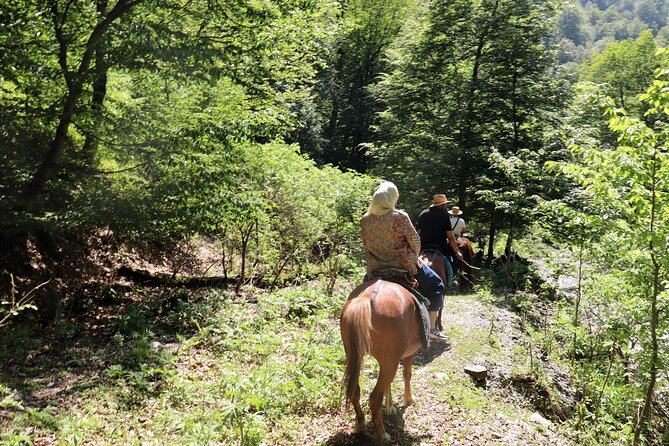 Horseback Riding in Azerbaijan - A forest picnic with herbal tea