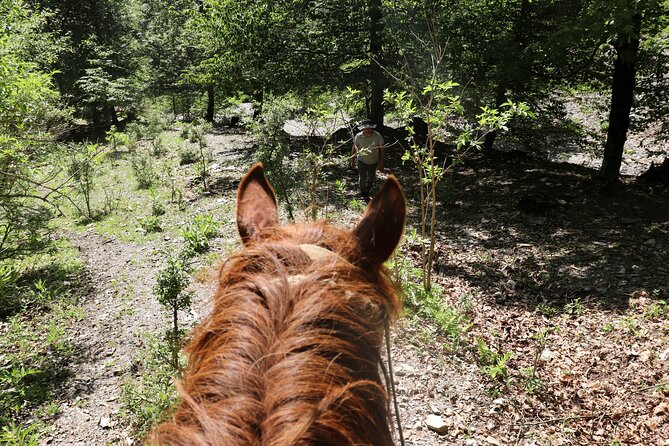 Horseback Riding in Azerbaijan - Weather, cancellations, and planning carefully