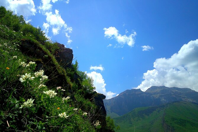 Khizi Candy Mountains, Shahdagh Full Day Guided Tour - Shahdag Resort gives you 3.5 hours to choose your fun