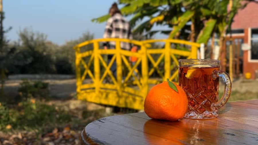 Longevity Secrets of Azerbaijan: Lankaran & Astara tour - What the long drive means for you