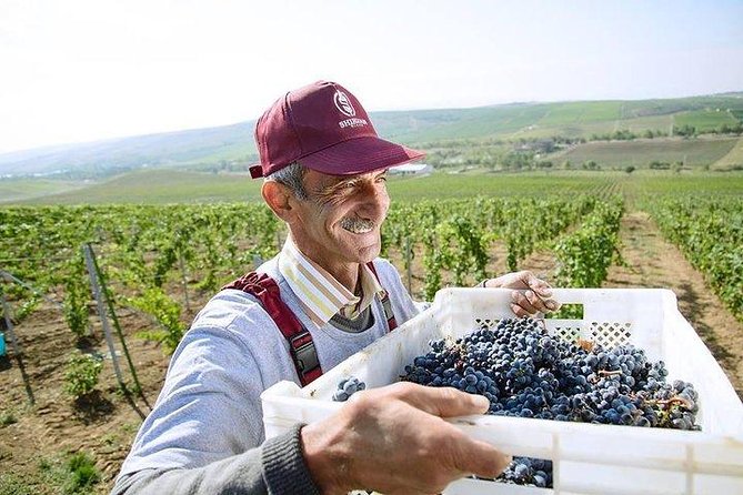 Organic Wine Tour Shamakhi with Local Lunch - Lunch with a local family in Meysari