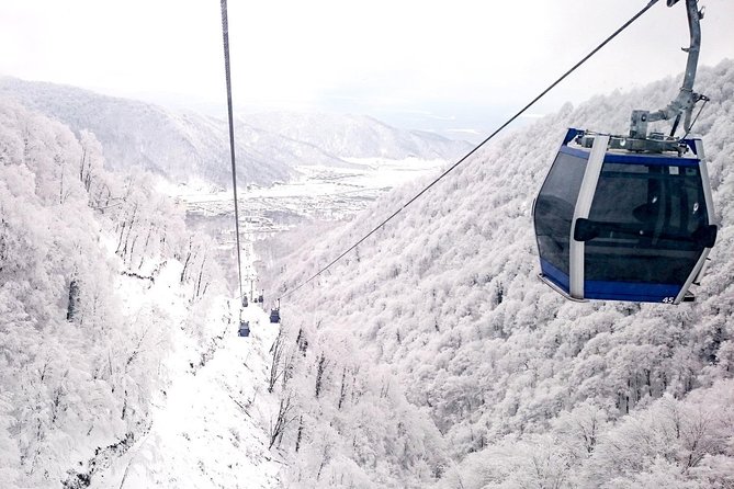 Private Gabala Tour - Food, Timing, and Comfort on a Ten-Hour Day