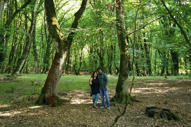 Private Gabala Tour (Full-Day Tour) - Should you book the private Gabala tour?