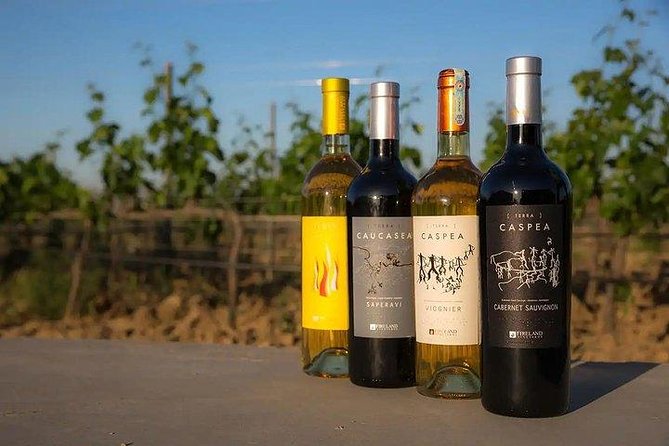 Wine Tour Baku - Tasting six to eight Azerbaijani wines