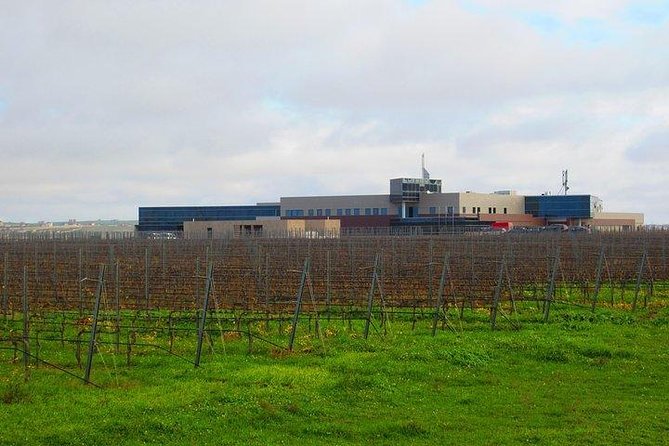 Wine Tour Baku - Timing, booking, and cancellation tips