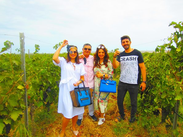 Wine Tour Baku - Walking through the winery and vineyard